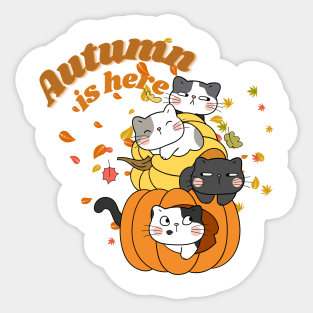 Autumn is here - Hello Fall - Cat in Pumpkin Sticker